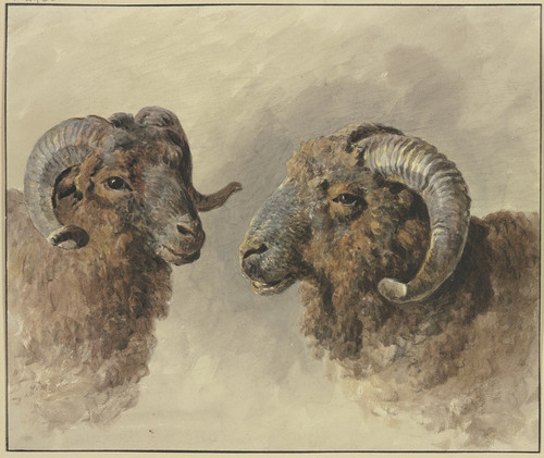 Two sheep Poster Print by Jacob van Strij