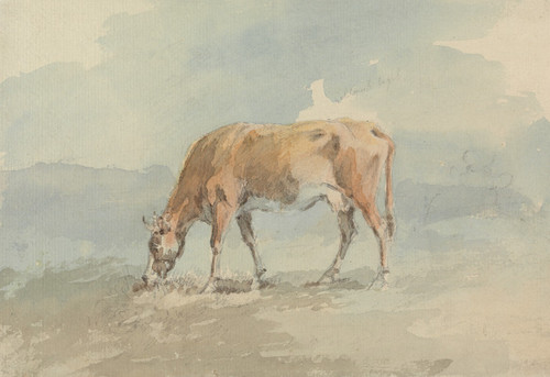 Cow Grazing. Poster Print by Sawrey Gilpin
