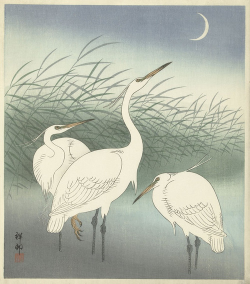 Herons in shallow water  Poster Print by Ohara Koson