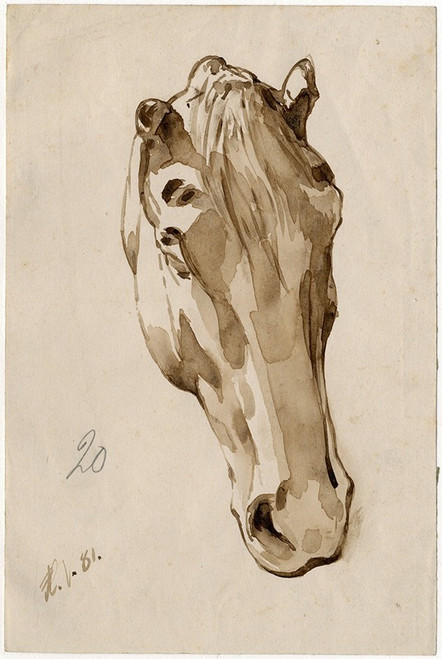 Head of a horse  Poster Print by Floris Verster