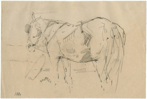 Horse  Poster Print by Floris Verster