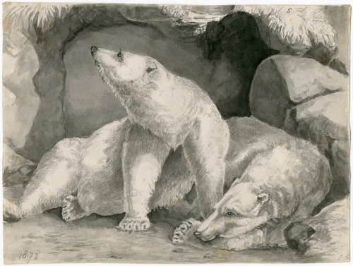 Two polar bears  Poster Print by Floris Verster