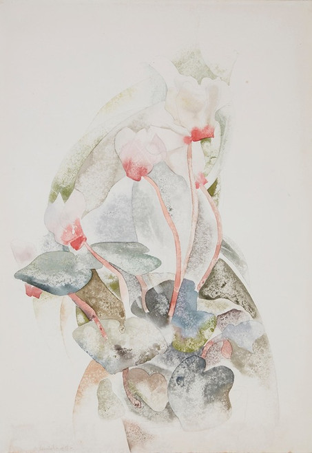 Cyclamen  Poster Print by Charles Demuth