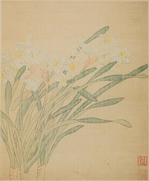 Narcissus  Poster Print by Ma Yuanyu