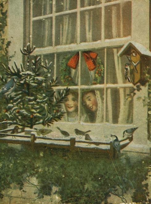 Our Winter Birds 1918 Watching the Birds Poster Print by Unknown - Item # VARPPHPDA60979