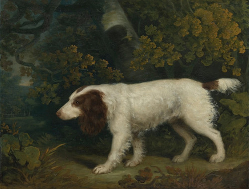 A Spaniel in a Landscape Poster Print by Sawrey Gilpin