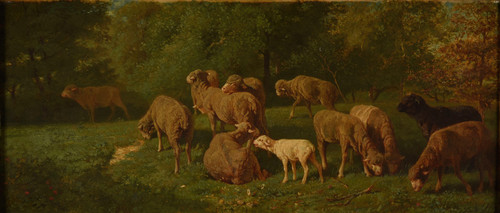 Moutons  Poster Print by Charles Emile Jacque