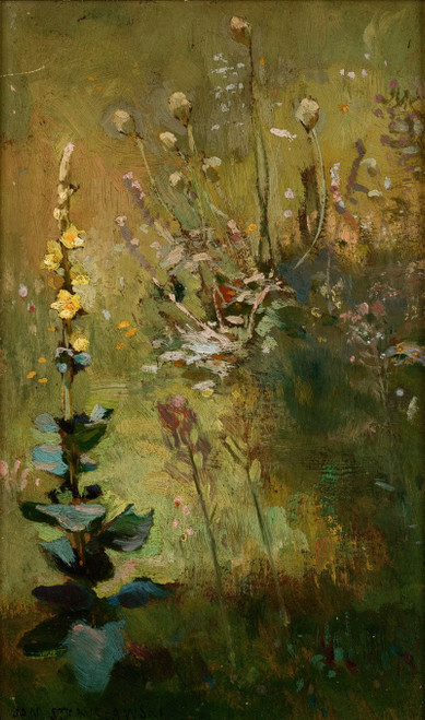 Mullein  Poster Print by Jan Stanislawski