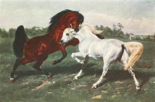 Rosa Bonheur 1913 The Duel Poster Print by  Rosa Bonheur