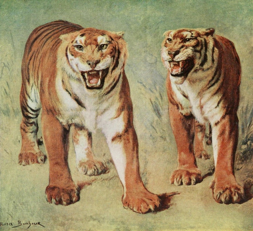 Tigers Rosa Bonheur 1913 Poster Print by  Rosa Bonheur - Item # VARPPHPDP81028