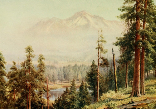 California 1914 Shasta Poster Print by  H. Sutton Palmer - Item # VARPPHPDA71491