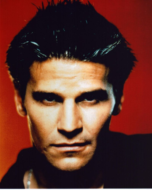 David Boreanz Headshot Red Background Photo Print