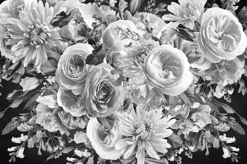 Morning Blooms Black A White Poster Print - Sue Skellern