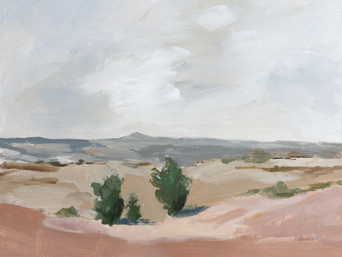 Arid Poster Print - Pamela Munger