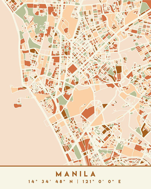 Black Maps Earth Tones 46 Poster Print - Emiliano Deificus