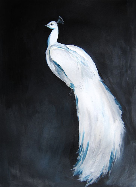 Whitepeacock2 Poster Print - Christine Lindstrom