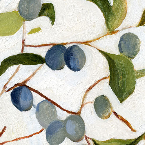 Olives on the Branch IV Poster Print - Emma Caroline