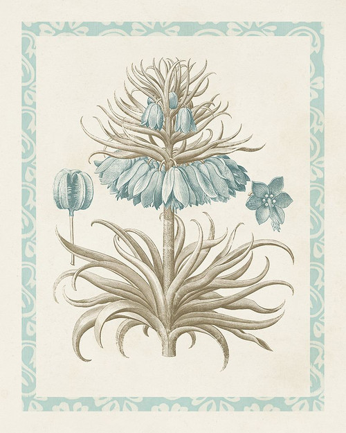 Willow Blue Besler II Poster Print - Studio Vision
