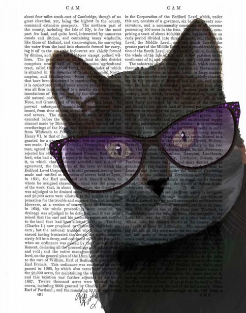 Black Cat with Sunglasses Poster Print - Funky Fab