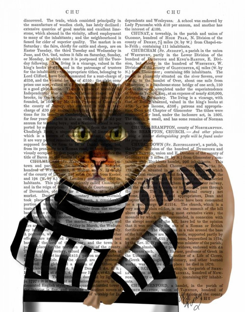 Cat Burglar Poster Print - Funky Fab