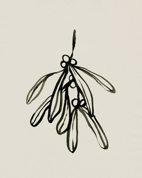 Mistletoe Sketch II Poster Print - Emma Caroline