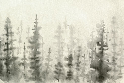 Ink Pine Woods III Poster Print - Emma Caroline