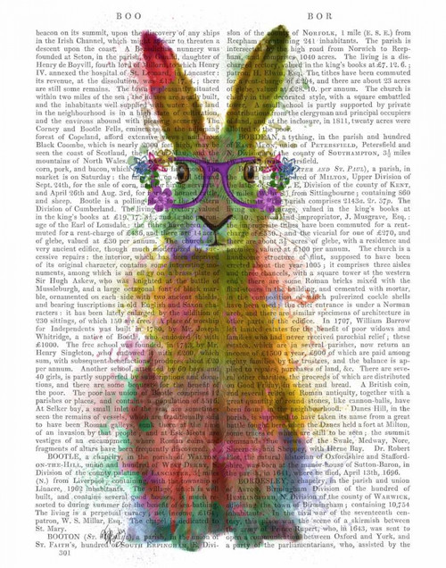 Rainbow Splash Rabbit 1 Poster Print - Funky Fab