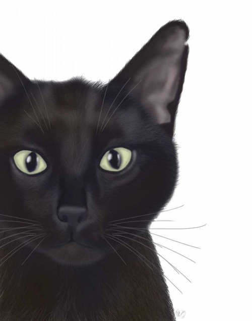 Cat, Portrait of Gus Poster Print - Funky Fab