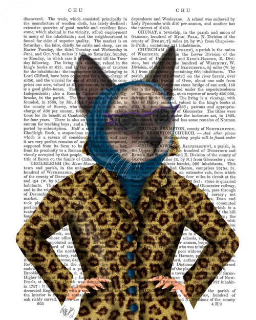 Cat with Leopard Jacket Poster Print - Funky Fab