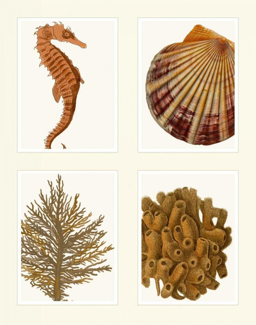 Seahorse coral and shell on 4 Panels Poster Print - Funky Fab