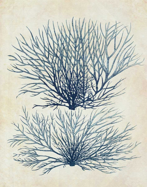 Indigo Blue Seaweed 1 a Poster Print - Funky Fab