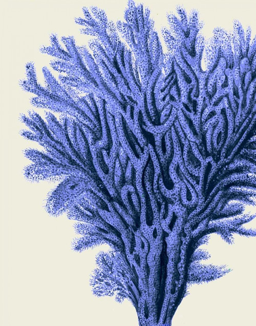 Blue Corals 2 a Poster Print - Funky Fab