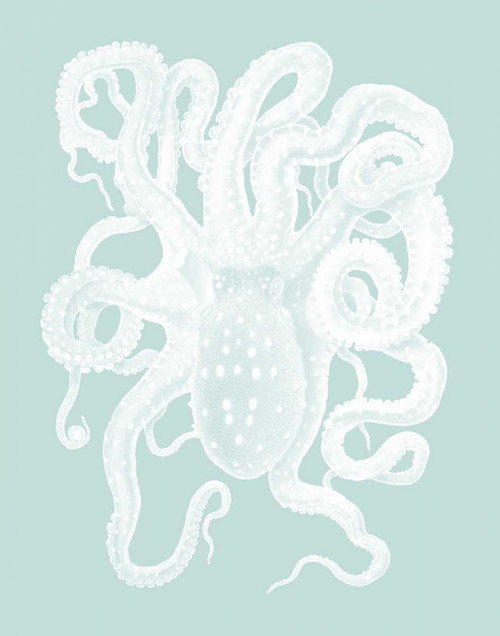 White Octopus on Seafoam a Poster Print - Funky Fab