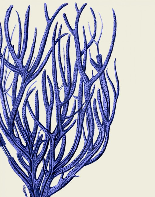 Blue Corals 2 c Poster Print - Funky Fab