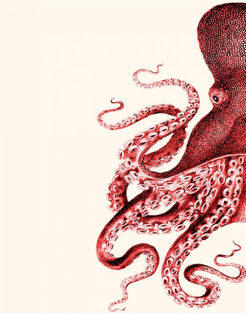 Octopus Red and White a Poster Print - Funky Fab