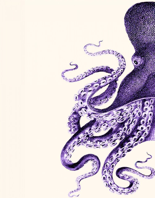 Octopus Purple and Cream a Poster Print - Funky Fab