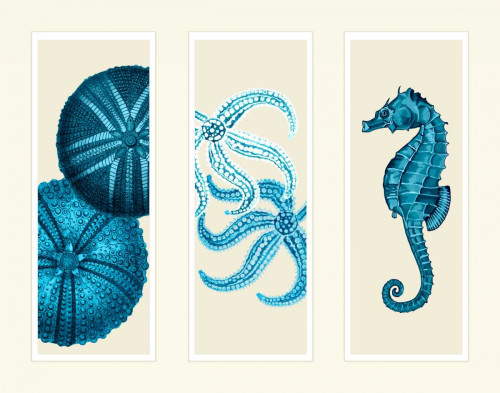 Three Panel Print Sea Urchin Starfish and Seahorse in Blue Poster Print - Funky Fab