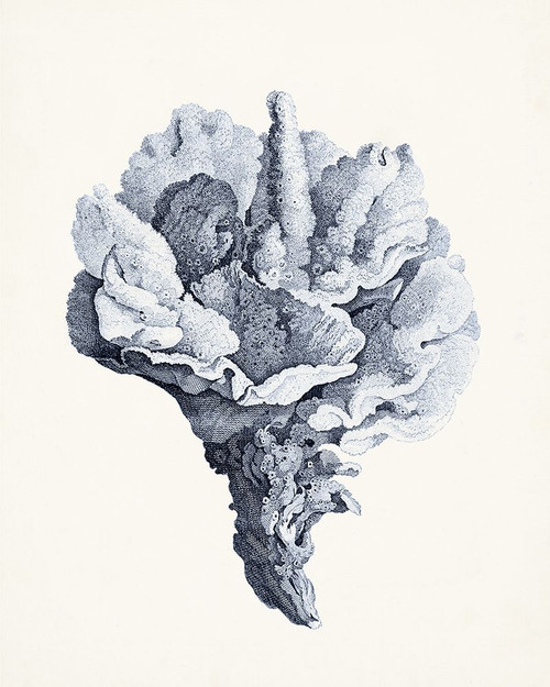 Blue Antique Coral III Poster Print - Studio Vision
