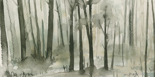 Into the Woods I Poster Print - Emma Caroline