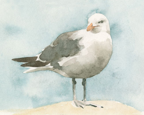 Simple Seagull I Poster Print - Emma Caroline