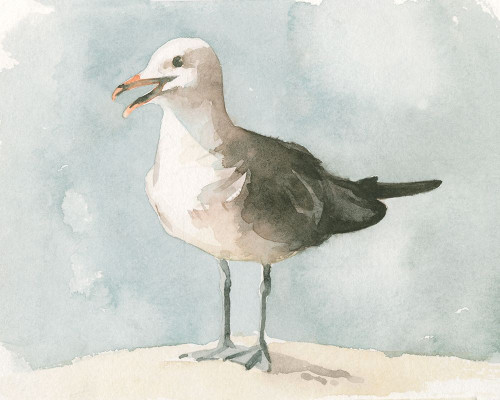Simple Seagull II Poster Print - Emma Caroline