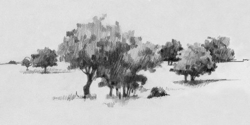 Treeline Sketch II Poster Print - Emma Caroline