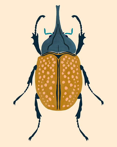 Beetle Bug II Poster Print - Victoria Barnes