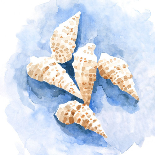 Shell Impressions I Poster Print - Emma Caroline