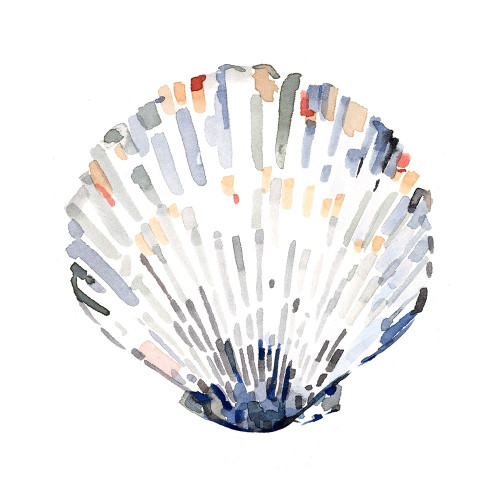 Simple Shells III Poster Print - Emma Caroline