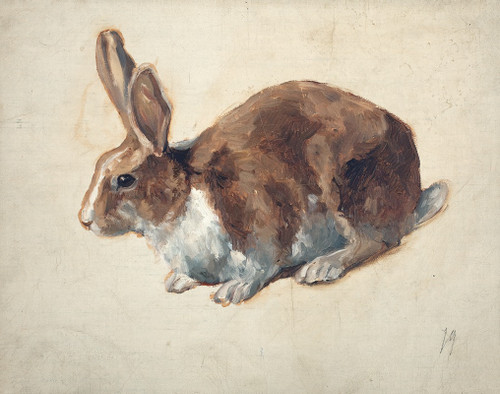 Rabbit  Poster Print by Floris Verster