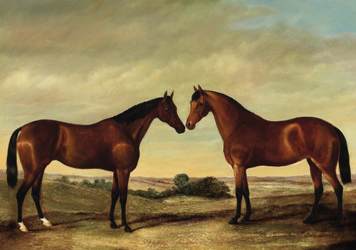 Pair of Horses Poster Print by James Clark
