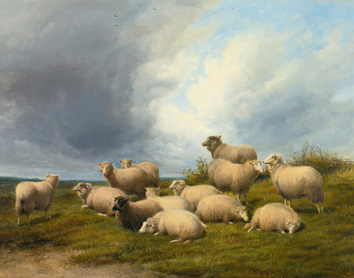 Sheep In A Pasture  Poster Print by Thomas Sidney Cooper