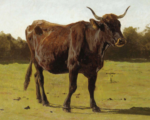 A Cow Grazing In A Meadow Poster Print by Auguste Bonheur