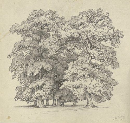 Felling of trees Poster Print by Jakob Becker